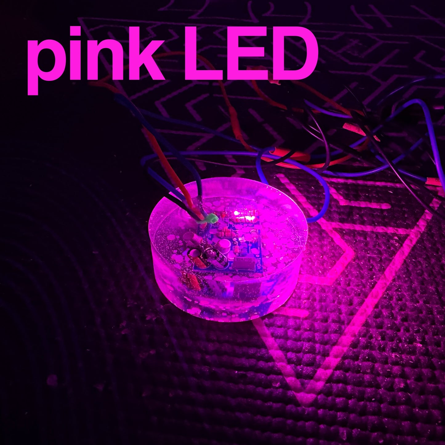 WÅTRFÜZZ - House Plant Fuzz Circuit in Resin