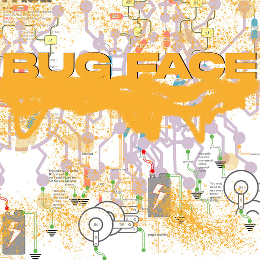 Bug Face Wiring Diagram PDF