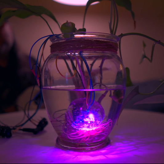 WÅTRFÜZZ - House Plant Fuzz Circuit in Resin